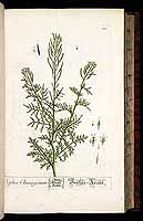  no thumbnail available