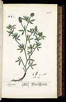  no thumbnail available