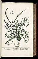  no thumbnail available