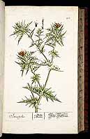  no thumbnail available