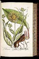  no thumbnail available