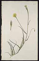  no thumbnail available