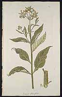  no thumbnail available