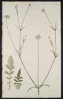  no thumbnail available