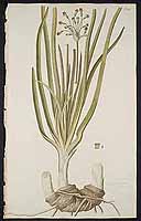  no thumbnail available