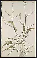  no thumbnail available