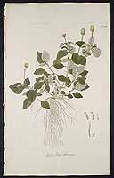  no thumbnail available