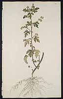  no thumbnail available