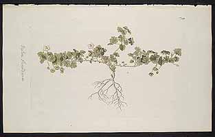  no thumbnail available