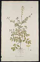  no thumbnail available