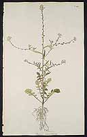  no thumbnail available