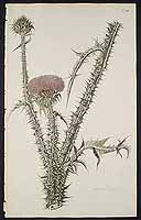  no thumbnail available