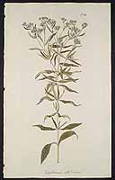  no thumbnail available