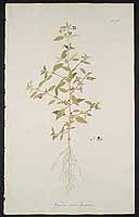  no thumbnail available