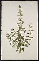  no thumbnail available