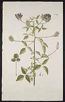  no thumbnail available