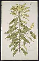  no thumbnail available