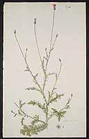  no thumbnail available