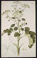  no thumbnail available