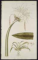  no thumbnail available