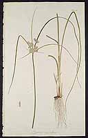  no thumbnail available