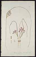  no thumbnail available