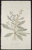  no thumbnail available