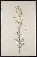  no thumbnail available