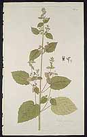  no thumbnail available