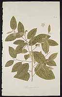  no thumbnail available