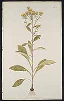  no thumbnail available