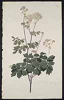  no thumbnail available