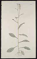  no thumbnail available