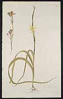  no thumbnail available