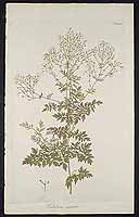  no thumbnail available