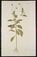  no thumbnail available