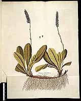  no thumbnail available