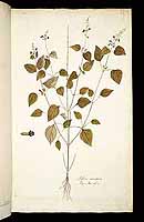  no thumbnail available