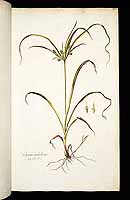  no thumbnail available