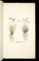  no thumbnail available