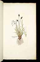  no thumbnail available