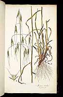  no thumbnail available