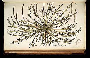  no thumbnail available