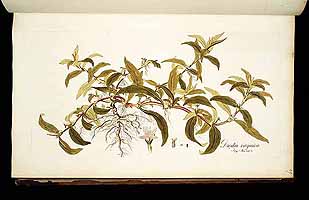  no thumbnail available