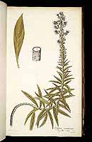  no thumbnail available