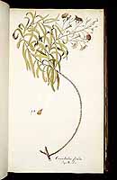  no thumbnail available