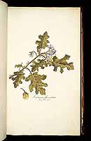  no thumbnail available