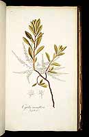  no thumbnail available