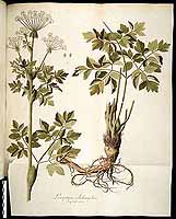  no thumbnail available