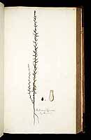  no thumbnail available